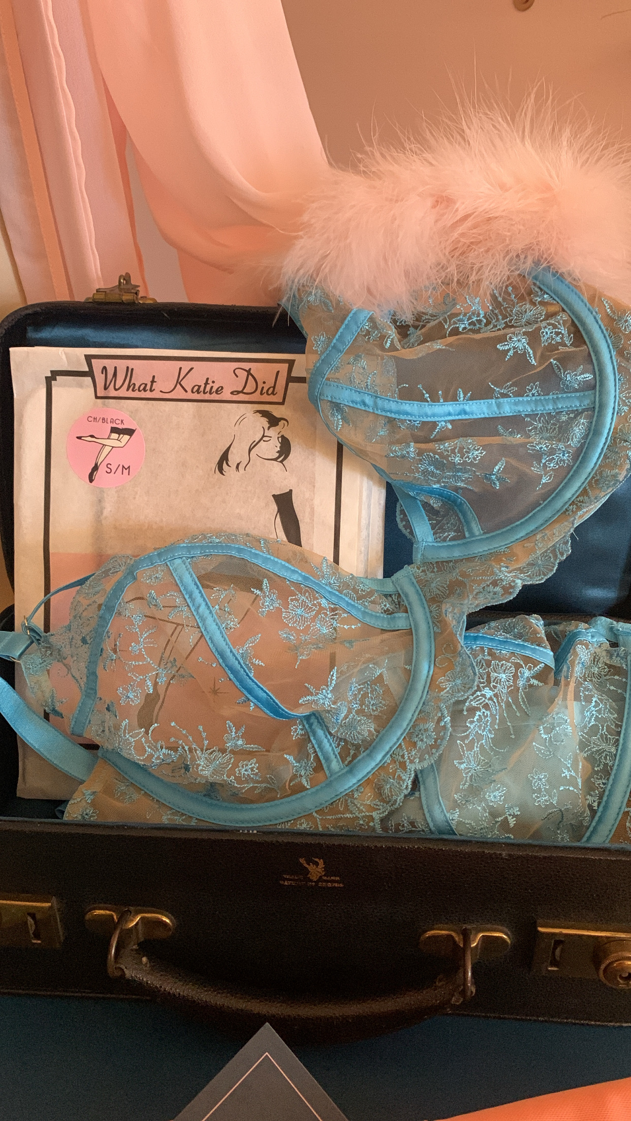 Blue embroidered bra lying in black leather case with seamed stocking packs and feather trimmed robe in the background